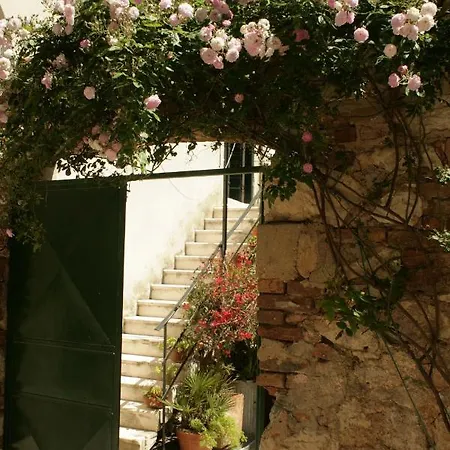 Lovely In Old Part Of Apartment